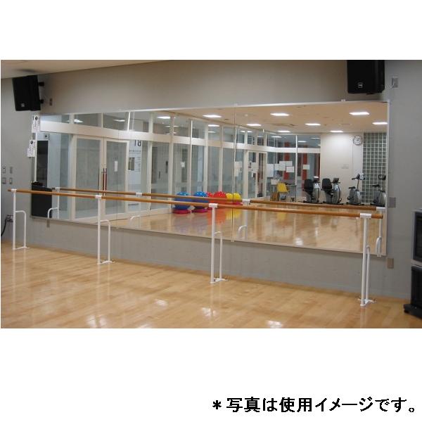 ミラー ダンノ D-5230 壁面用リフェクスミラー90 (DAN)【36CE】