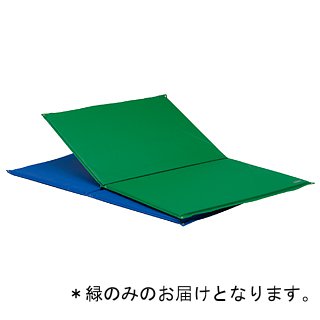 鉄棒用下敷きマット トーエイライト T-1219G 鉄棒用下敷マットST90 緑 (TOL)【36CE】