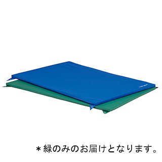 鉄棒用下敷きマット トーエイライト T-1256G 鉄棒用下敷マットSE120 緑 (TOL)【36CE】