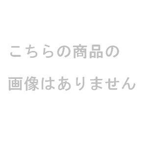 サッカーゴールネット トーエイライト B-7170 JRサッカーネット普及タイプ (TOL)【36CE】|Field Boss 店