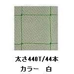CS BLACK LABEL特集
