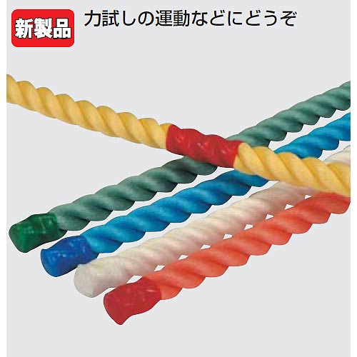 楽天市場】エバニュー(EVERNEW) 運動遊びロープ EKA423 : 通販ショップ