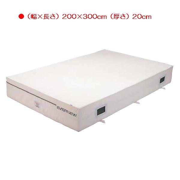 屋内エバーマット エバニュー EGD222 抗菌屋内エバーマット（枚）マット本体 (ENW)【36CE】