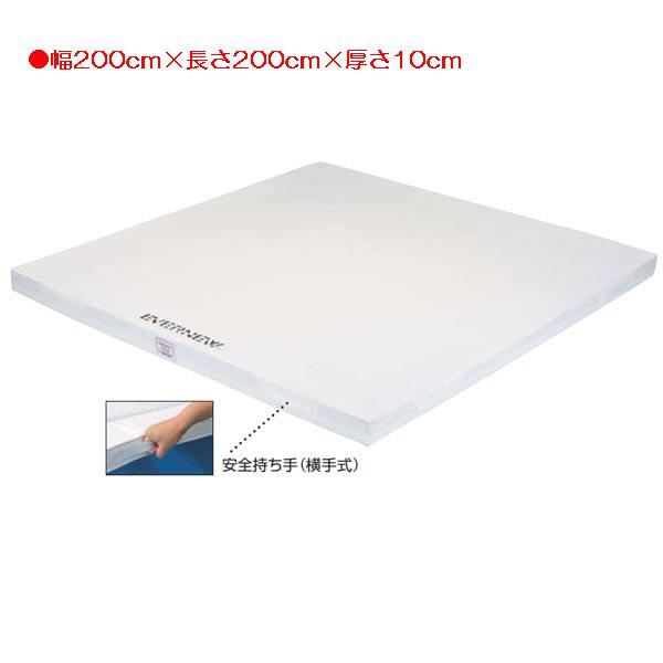 柔道用マット エバニュー EKM511 抗菌柔道用投込200×200×10 (ENW)【36CE】