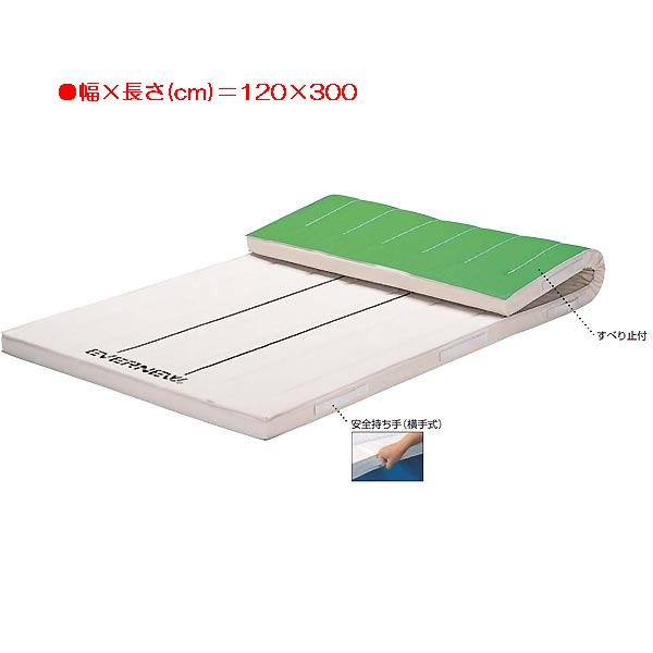 カラー体操マット エバニュー EKM403 6cm厚指導ライン入りマットすべり止付（枚） (ENW)【36CE】