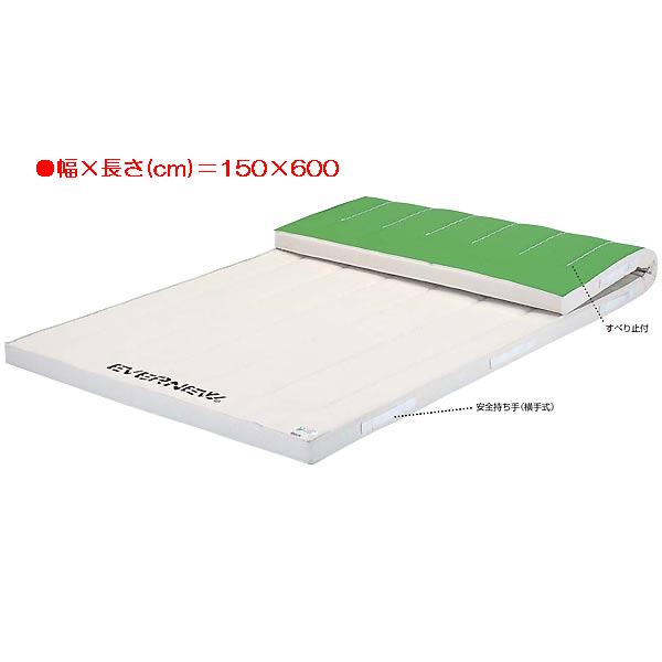 体操マット エバニュー EKM207 6cm厚抗菌合成スポンジコンビマットすべり止付（枚） (ENW)【36CE】