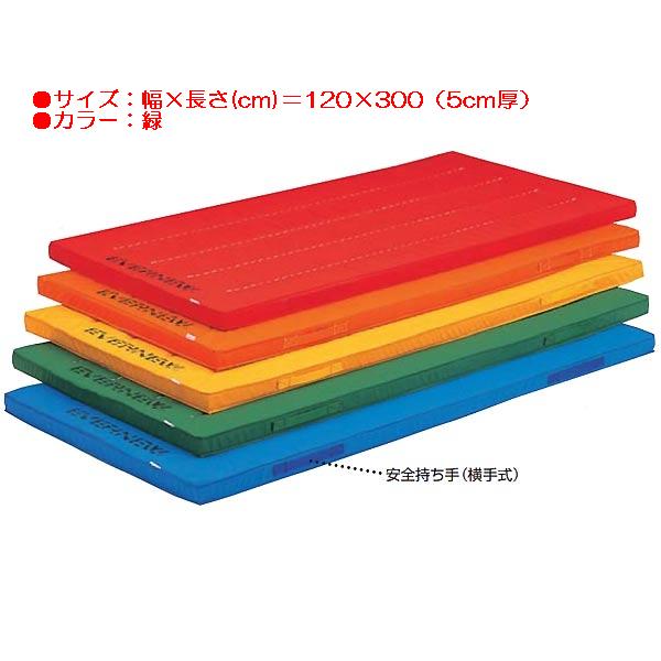 スポーツ 体操 保護 エコ・カラーマットすべり止付(枚)(緑) EKM008 特殊送料【ランク