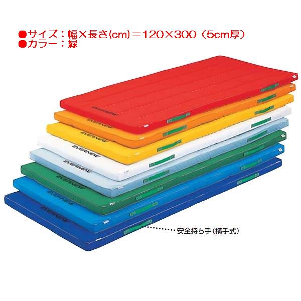 カラー体操マット エバニュー EKM083 防ダニカラーペットマットすべり止付（枚）(緑） (ENW)【36CE】