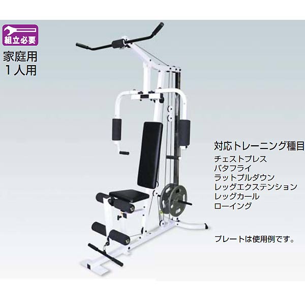 楽天市場】グルートハムディベロッパー 送料無料 gdh グルート