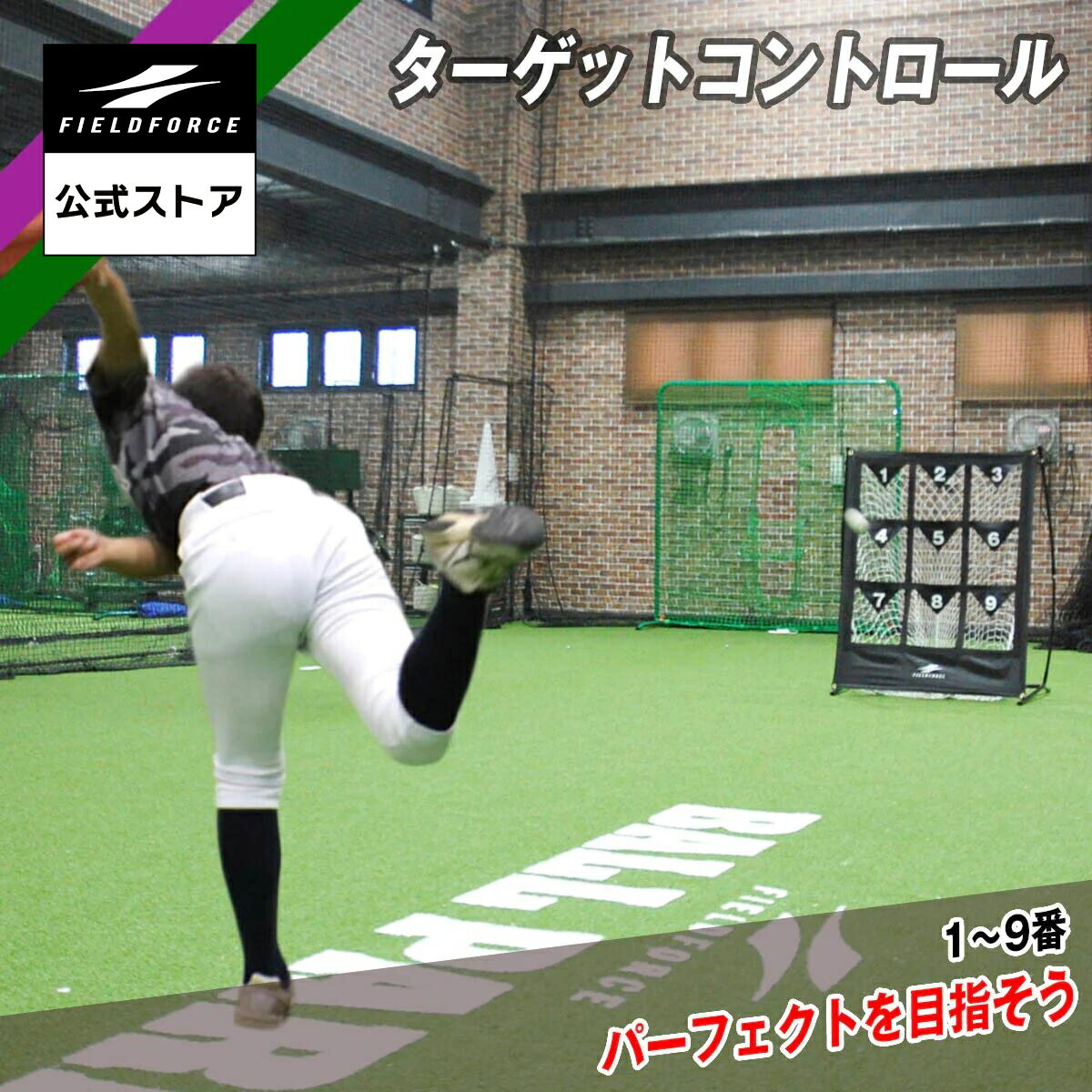 楽天市場】【 フィールドフォース 公式 】ピッチング ターゲット