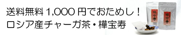 楽天市場】おいしい 健康習慣 夏は アイス 冬は ホット で チャーガ 茶