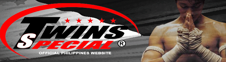 TWINSツインズ本革製ヘッドギアS、M青/キッズサイズあり