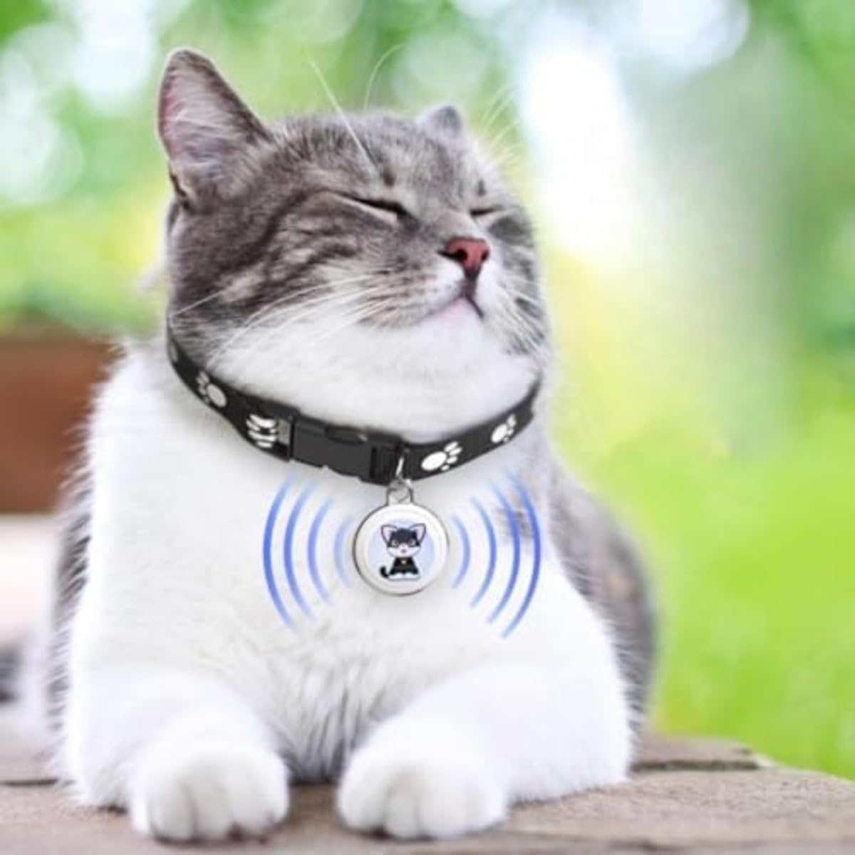 loc8tor lite 猫発見 紛失物発見機 脱走した猫が見つけられる専用探知機｜ネコモノ帳