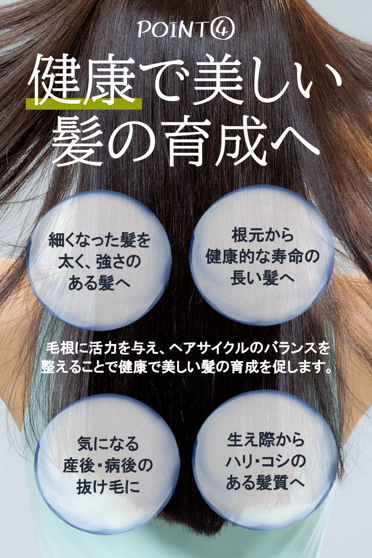 ３個セット ハツモール ビューティーL 細毛 頭髪用 男性用 産後 薬用 抜け毛 育毛剤 病後 プレゼント 生え際 養毛剤 実用的 脱毛予防 田村治照堂  女性用 円形脱毛症 薄毛 医薬部外品 発毛促進 ギフト 180ml 頭皮 ヘアケア・スタイリング