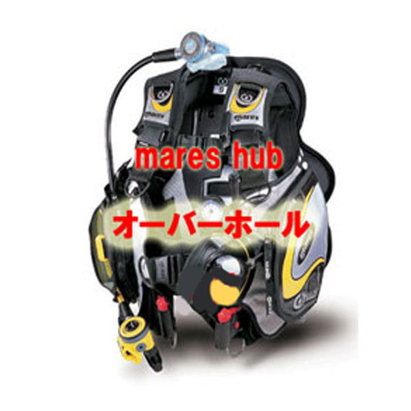 クーポン券 ＆尖んがり引き上げる