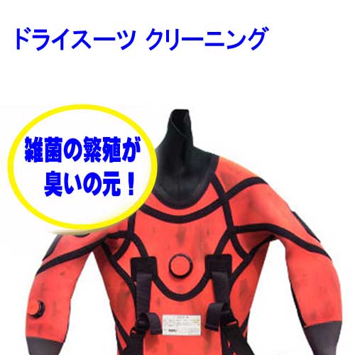 クーポン券 ＆尖んがり引き上げる