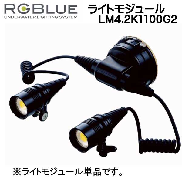 秀逸 RGBlue アールジーブルー RGB-TLM-L SYSTEM03ツインライトとINON
