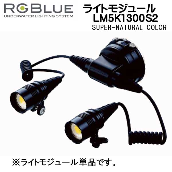 RGBlue アールジーブルー ツインライト 高彩色モデル 対応アクセサリー