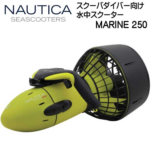 クーポン券 ＆尖んがり引き上げる