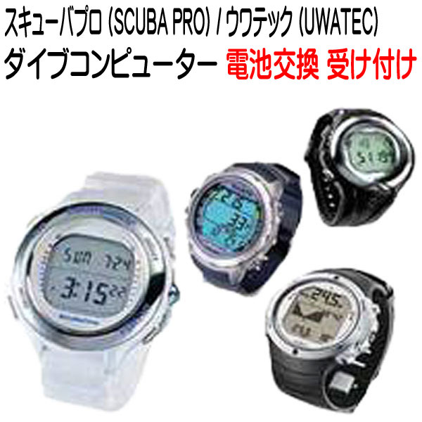 クーポン券 ＆尖んがり引き上げる