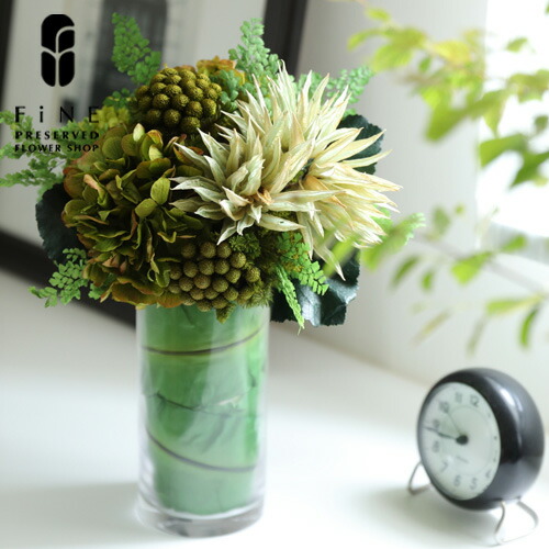 楽天市場 新築祝い 開業祝い 枯れない観葉植物 プリザーブドグリーン グローリー 開店祝い 開院祝い 開業祝い おしゃれ 立札 15時迄のご注文であす楽 送料無料 店舗 装飾 有料バッグ Ll対応 プリザーブドフラワーfine