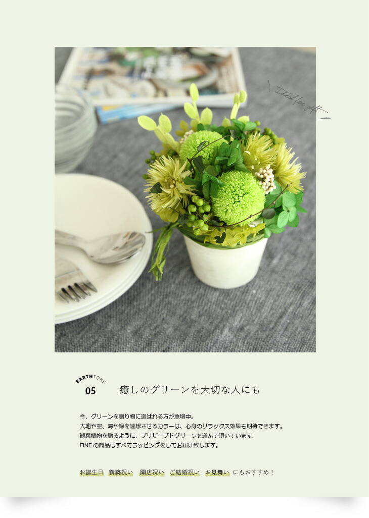 楽天市場 プリザーブドフラワー 敬老の日 ギフト プレゼント 花 アーストーン 15時迄のご注文であす楽 送料無料 枯れないインリアグリーン 新築祝い 引越し祝い 観葉植物 お礼 お歳暮 挨拶 開店祝い 誕生日プレゼント 結婚祝い 内祝 有料バッグ M対応