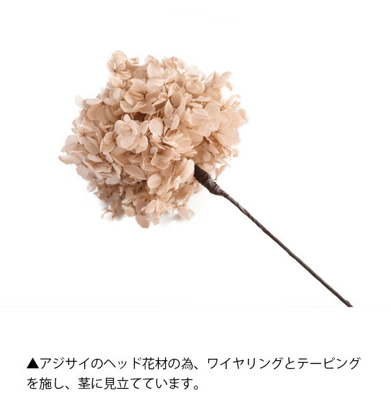 プリザーブドフラワー アジサイ オレガノピンク アンブランシュ ワイヤーステム付き
