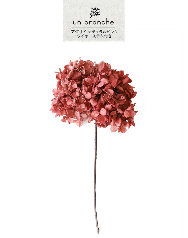 プリザーブドフラワー アジサイ ナチュラルピンク ワイヤーステム付き アンブランシュ