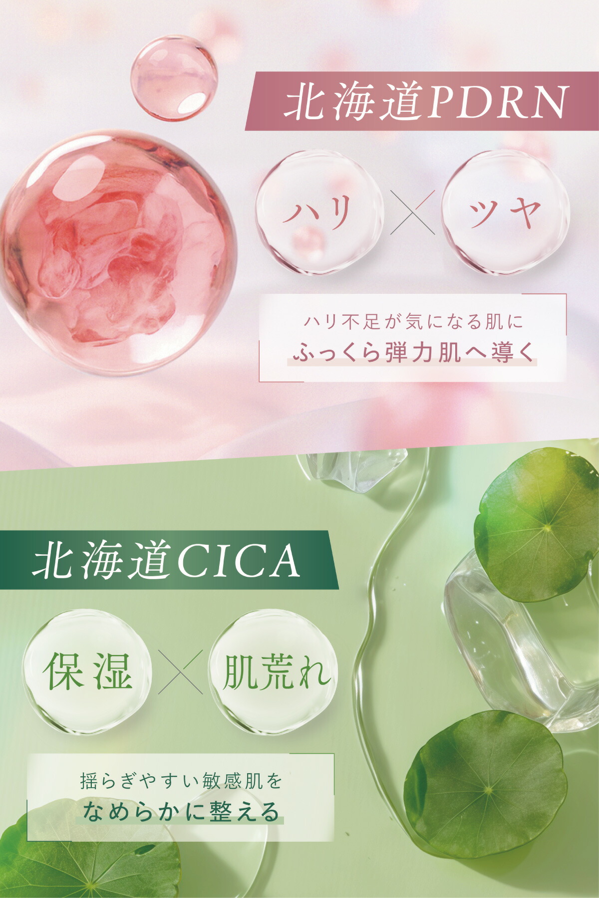 idio イディオ 北海道PDRNクリーム 母の日 ギフト CICA セラミド 高