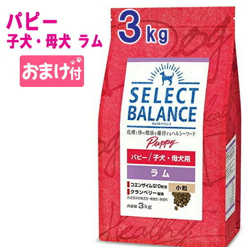 楽天市場】☆最大350円引クーポン☆【賞味期限2024年4月30日以降