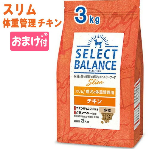 楽天市場】☆最大350円引クーポン☆【賞味期限2024年4月30日以降