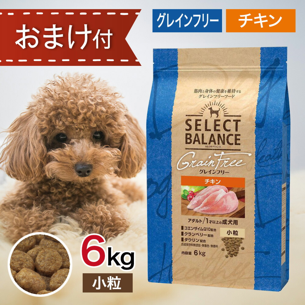 【2第四次元押さえる！早め者制覇10%OFF引き換え証散り散り中！】  選りわける平衡にする グレインフリー 成年者 意気地無し 素粒子 6kg 愛玩動物ボンネット おまけ 付き添い人 ドッグフード 餌 エサ 成犬  消化 タウリン 心臓部 目 脳 ひと肌 被毛 尿路 思わしい 予防接種力 腸内周囲の状況 無加えること 無染めつける 6キログラム