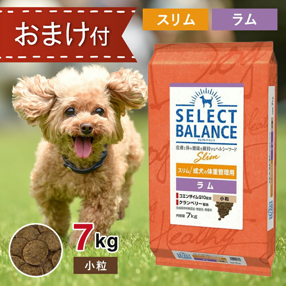 @ セレクトバランス ラム 小粒7kg アダルト ドッグフード ペットフード 楽天市場】セレクトバランス アダルト 成犬用 ラム 小粒 7kg