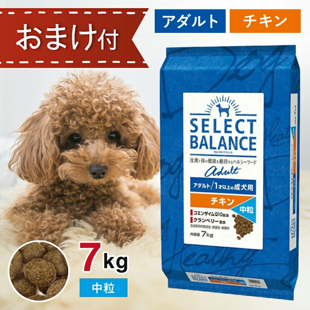 犬フード　セレクトバランス パピー　ラム　15kg 賞味期限　2026.5 セレクトバランス パピー ラム 小粒（子犬・母犬用）｜みんなの