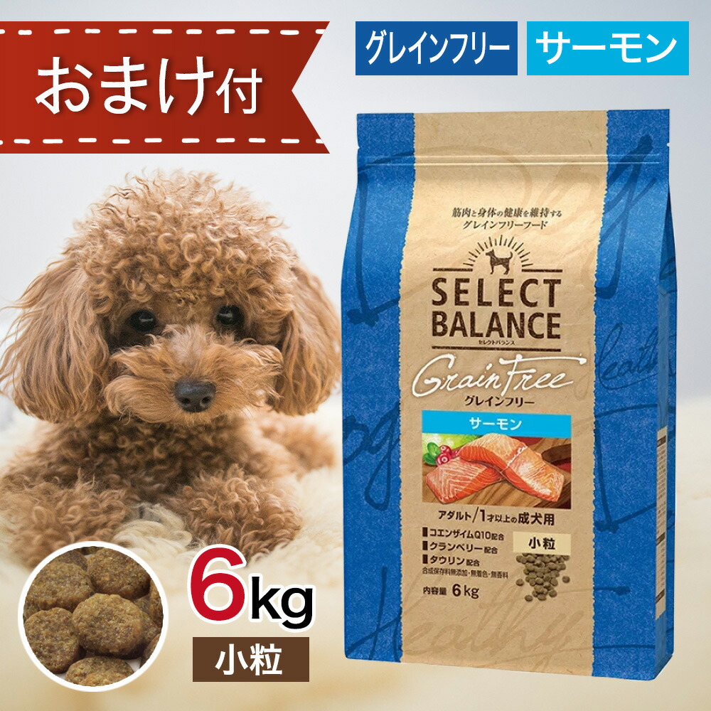セレクトバランス グレインフリー アダルト サーモン 小粒 6kg ペットフード おまけ 付き ドッグフード 餌 エサ 犬 成犬 消化 タウリン 心臓 目 脳 皮膚 被毛 尿路 健康 免疫力 腸内環境 無添加 無着色 6キロ 10,725円