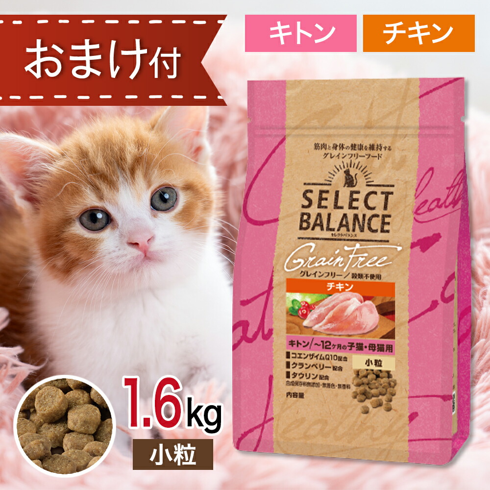 猫フード セレクトバランス グレインフリー 子猫 母猫用3kg 2袋