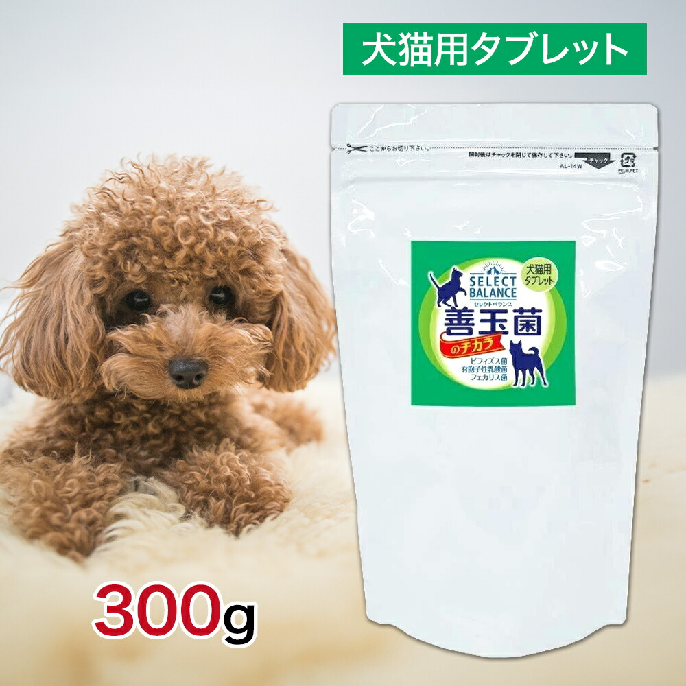 楽天市場】【2時間限定！早い者勝ち10%OFFクーポン配布中！】 セレクト