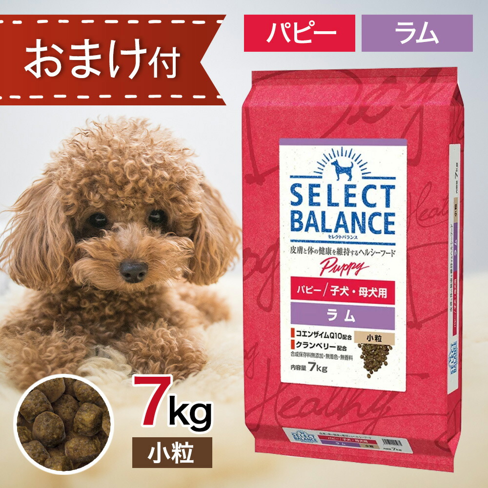 【ドッグフード】セレクトバランス/スリム/ラム小粒/7kg Amazon.co.jp: SELECT BALANCE セレクトバランス アダルトラム