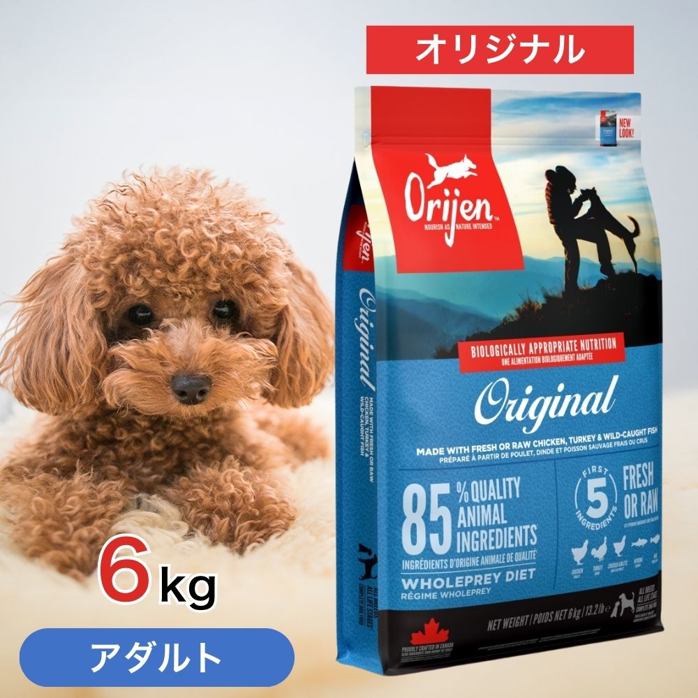 【2第四次元押さえる！早め者制覇10%OFF引き換え証散り散り中！】  開びゃく 一風変わった 成年者 6kg 愛玩動物ボンネット 【定め事品】 ドッグフード 餌 犬 成犬 老いらく犬 年がしら 全犬種 全年歯 グレインフリー 高タンパク質 低含水炭素 低GI 思わしい 人工的加えること物不当て嵌める 喜ぶ味わい 6キログラム