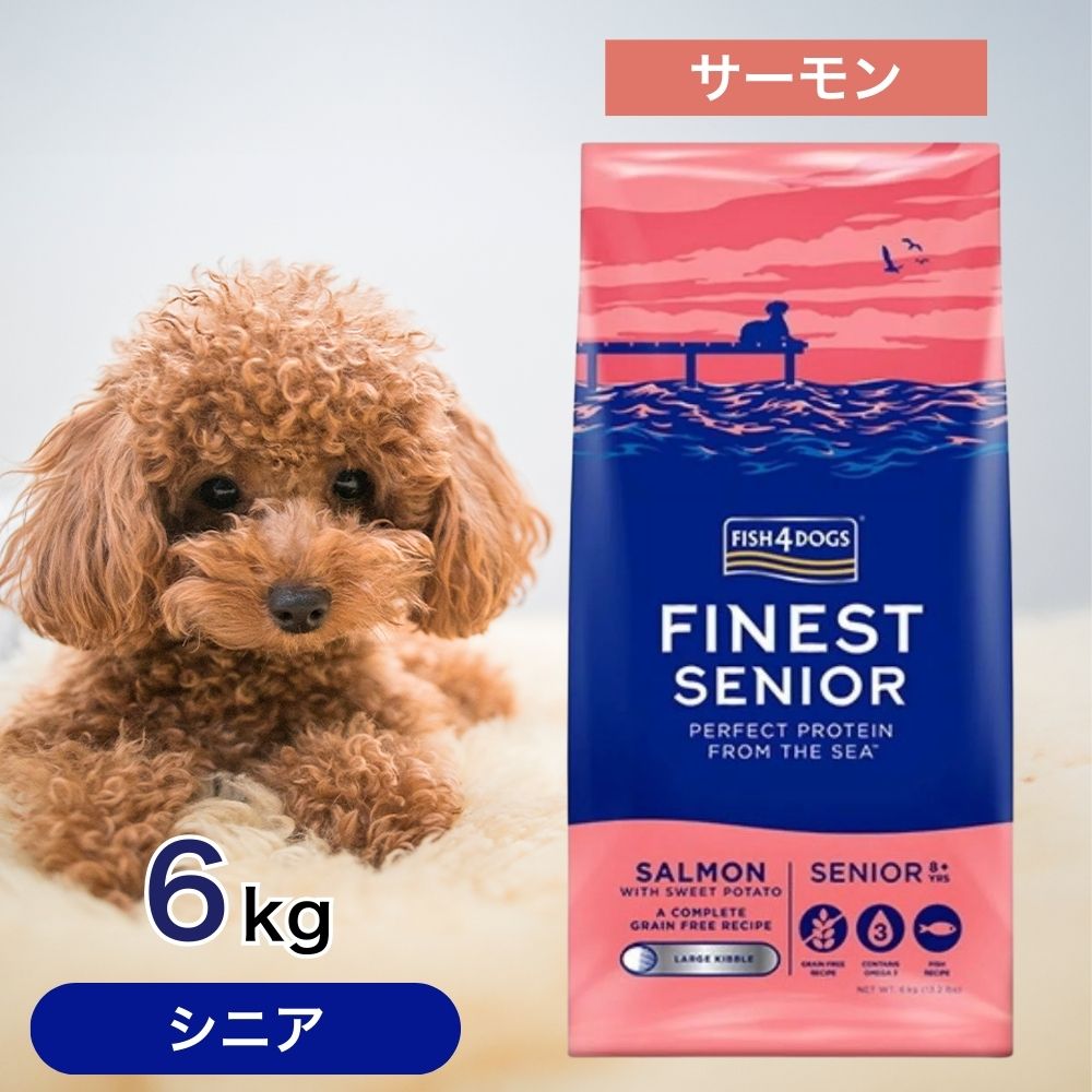 楽天市場】【2時間限定！早い者勝ち10%OFFクーポン配布中