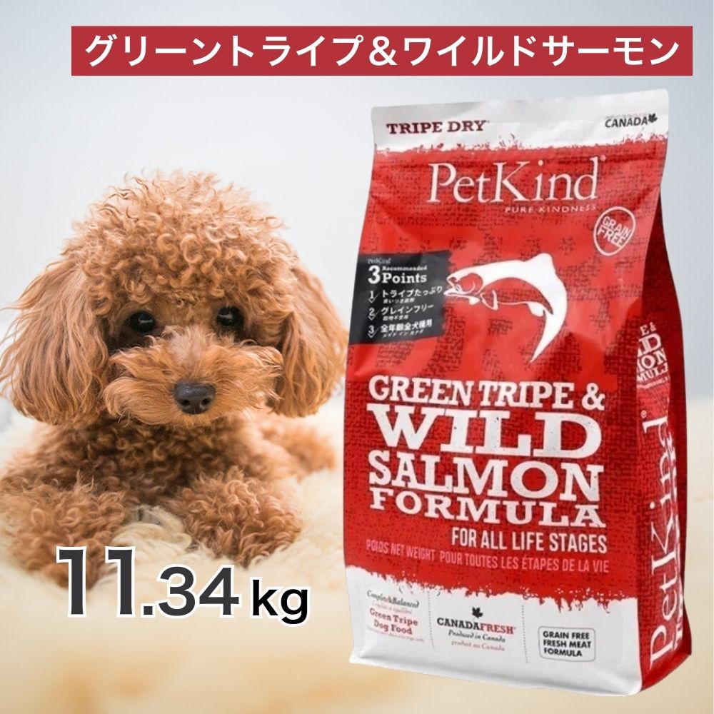 【2第四次元押さえる！早め者制覇10%OFF引き換え証散り散り中！】  ペットカインド グリーントライプ ＆ ワイルドサーモン 11.34kg 愛玩動物ボンネット ドッグフード 餌 エサ 犬 犬ころ 成犬 老いらく犬 年がしら 全犬種 全年歯 取り入れる営養素食 トライプ ヒューマン評点 思わしい 11.34キログラム
