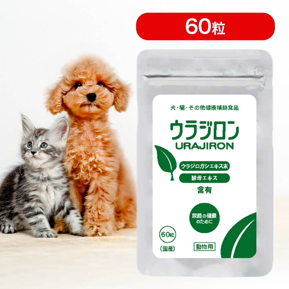 【10時間限定！早い者勝ち10%OFFクーポン配布中！】 ウラジロン 60粒 ペットサプリ サプリメント サプリ 日本製 国内生産 スケアクロウ 犬 猫 愛犬 愛猫 ペット 動物 健康補助食品 錠剤 小粒 尿路 健康 健康維持 ウラジロガシ タンニン ポリフェノール 安心