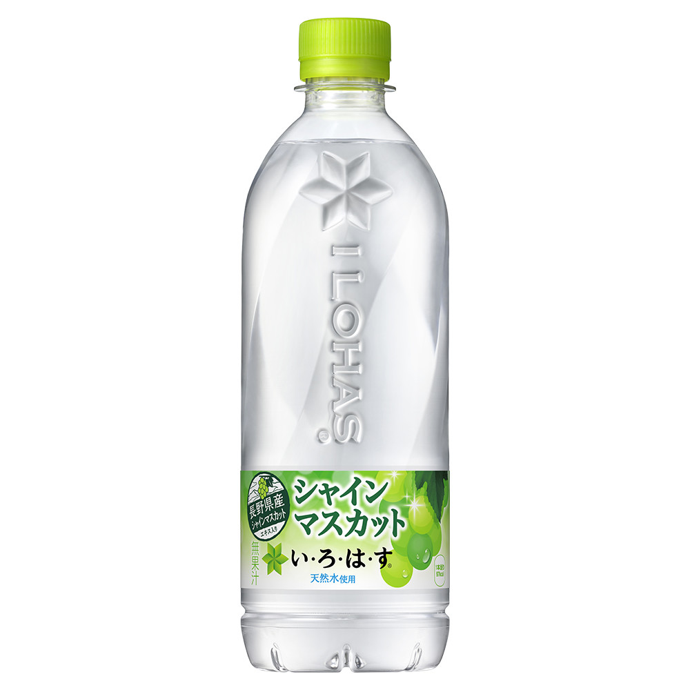 クリーム　マスカット チラックス ソーダ マスカット|Others|beverage-others