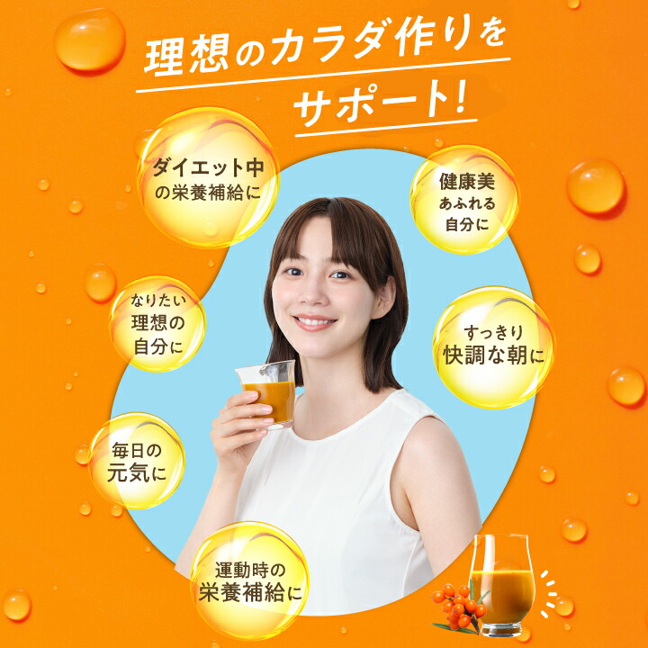 豊潤サジー 1000ml サジージュース【紙パックタイプ】 公式