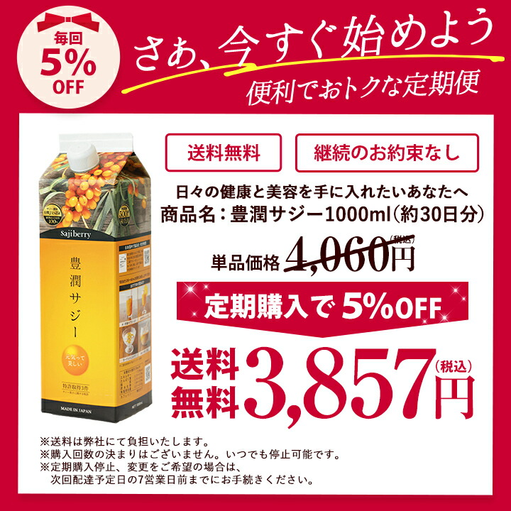 豊潤サジー 1000ml サジージュース【紙パックタイプ】 公式