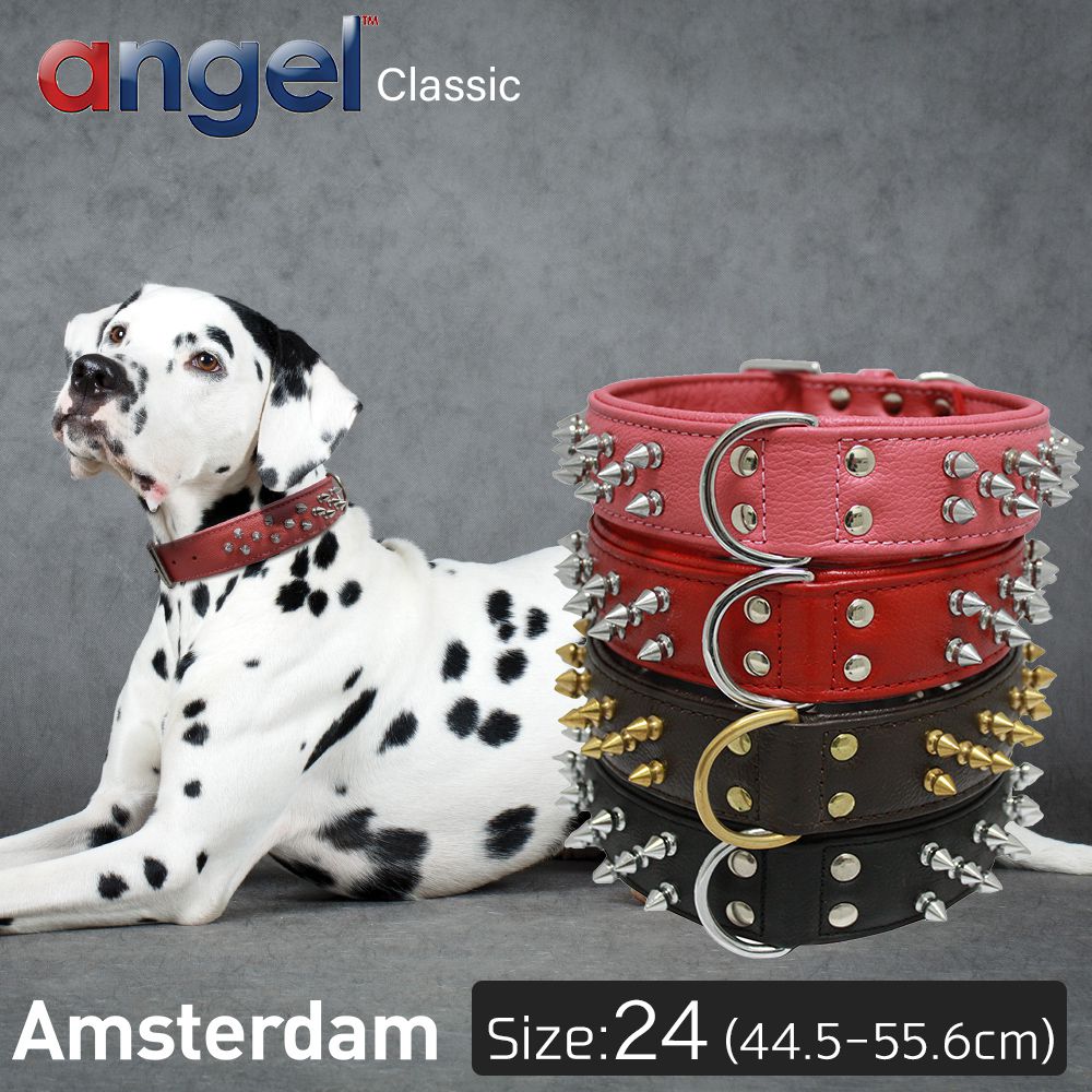 楽天市場 Angel エンジェル Amsterdam 24インチ 犬 首輪 本革 柔らかい ソフトレザー 大型 中型 高級 おしゃれ かっこいい スパイク Baby West