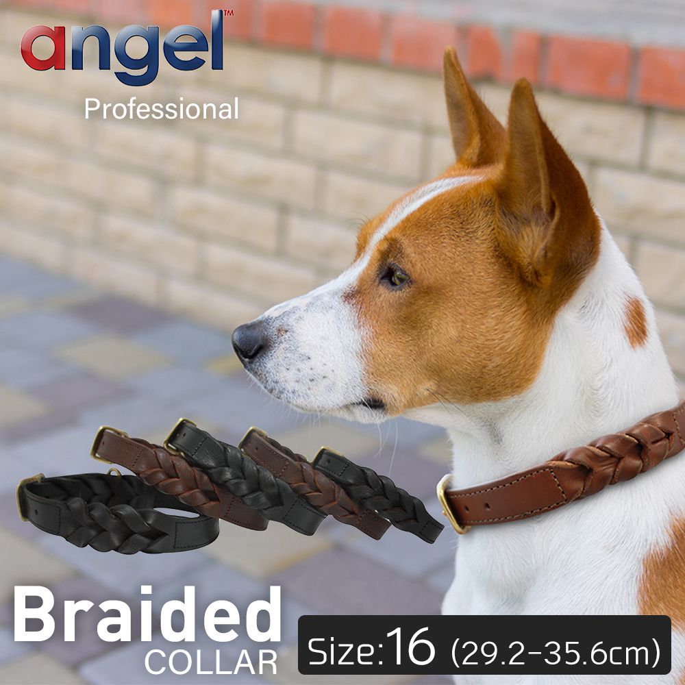 楽天市場 Angel アウトレット エンジェル Braided Collar 16インチ 犬 首輪 本革 真鍮 アルゼンチン牛革 小型 子犬 大型 中型 高級 おしゃれ シンプル 錆びにくい Baby West