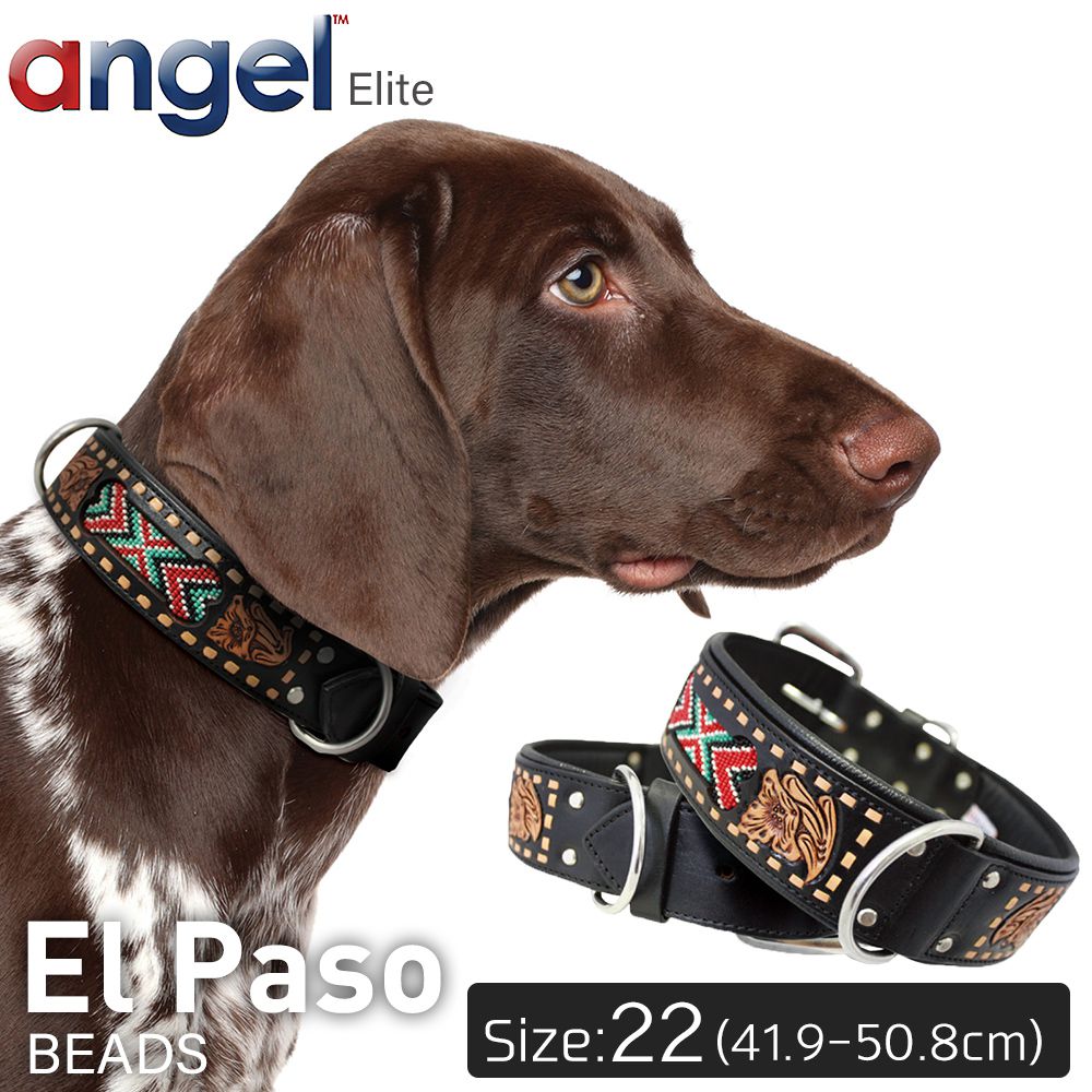 偉大な Angel エンジェル El Paso 22インチ 首輪 犬 アルゼンチン産 牛革 本革 真鍮 大型 中型 高級 手彫り ビーズ 錆びにくい Www Nso Mn