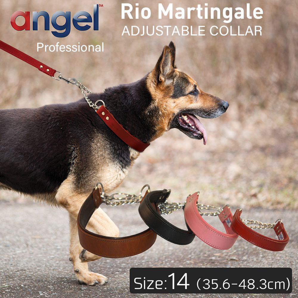 楽天市場 Angel エンジェル Rio Martingale Adjustable Collar 14インチ 犬 首輪 本革 柔らかい ソフトレザー アルゼンチン牛革 トレーニング 訓練 小型 子犬 大型 中型 高級 おしゃれ シンプル ハーフチョーク Baby West