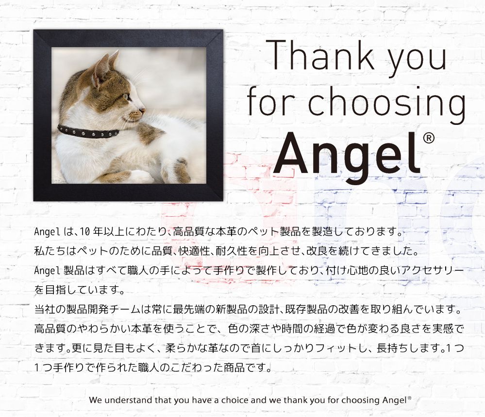 楽天市場 Angel アウトレット エンジェル Athens アテネ Cat 12インチ 猫 首輪 本革 柔らかい ソフトレザー 小型 高級 おしゃれ かわいい イミテーションダイヤ Baby West
